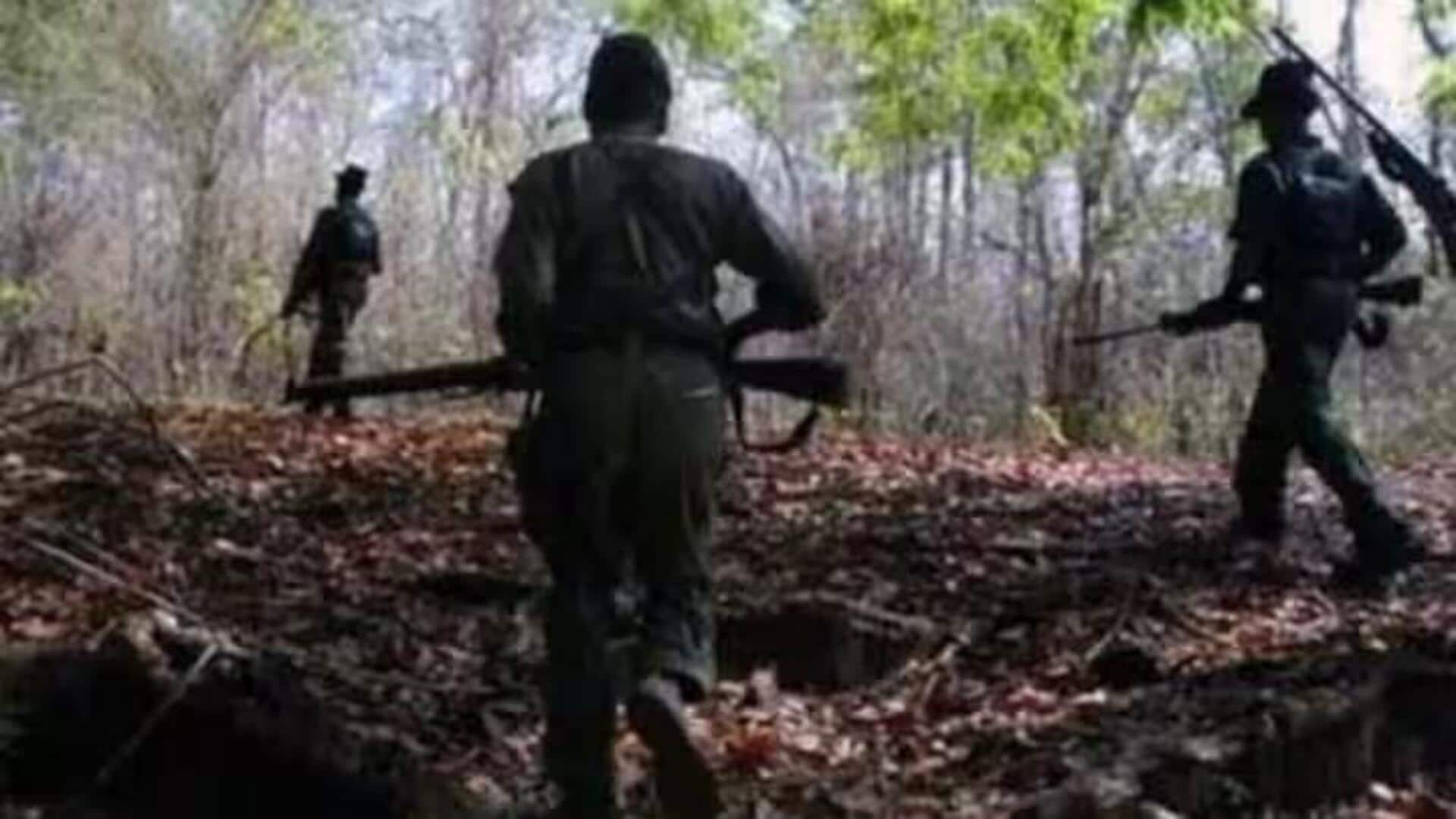 7 Maoists killed in anti-Naxal operation in Bastar