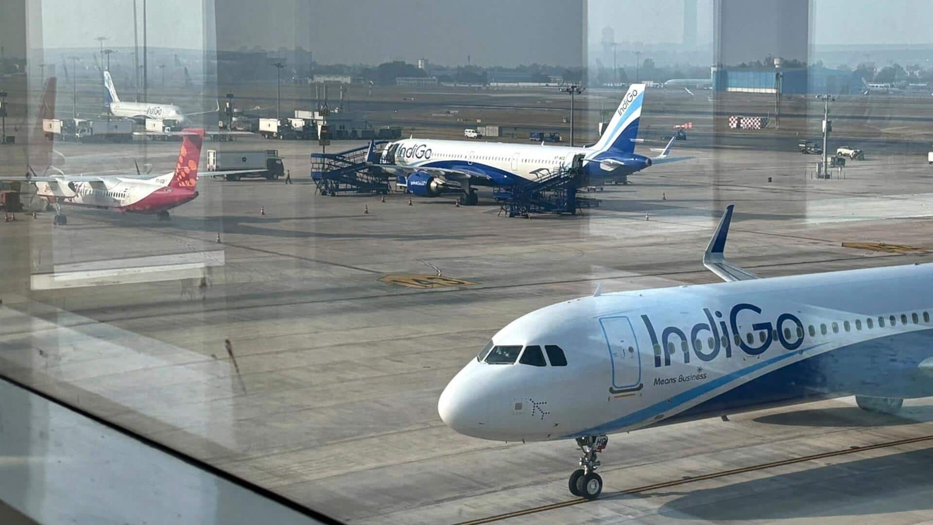 'IndiGo back on its feet': Airline CEO after nationwide disruptions 