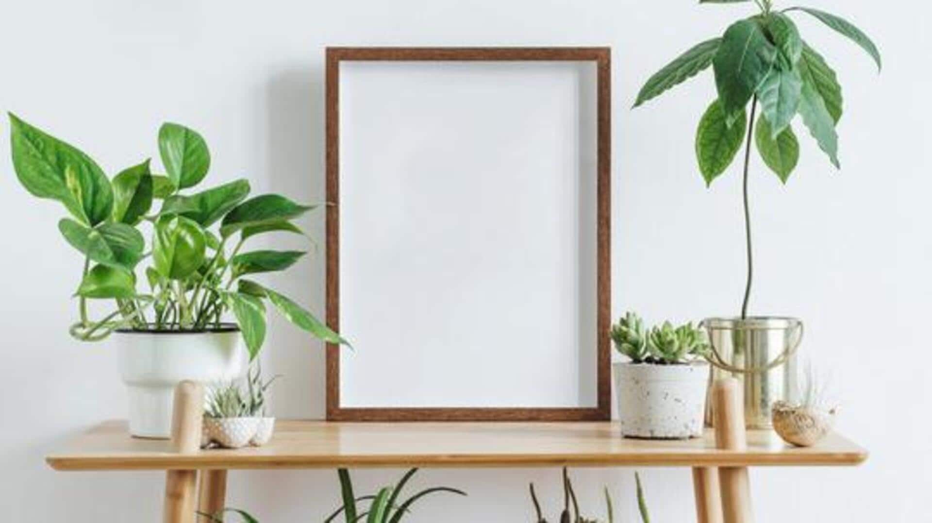 How to make stunning mosaic photo frames 