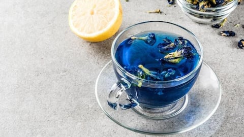 Blue tea: What is it and how is it healthy