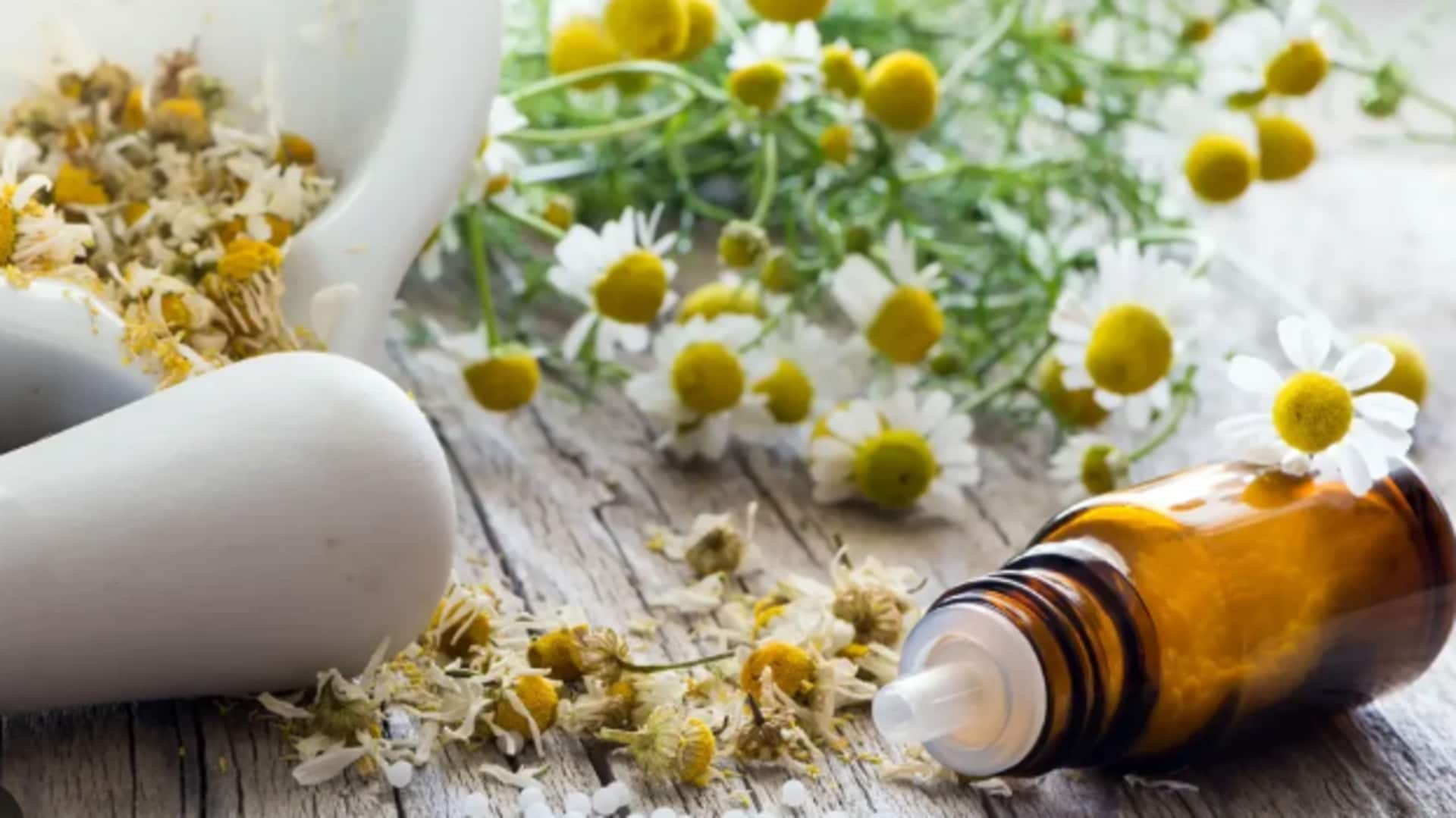 Calming anxiety with chamomile oil