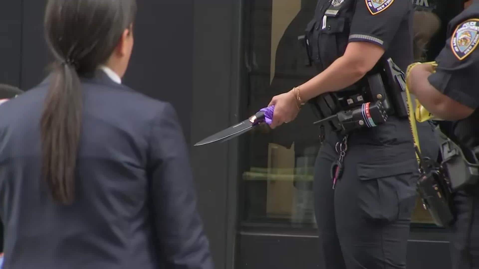 NYC: Woman shot dead by police in Times Square stabbing