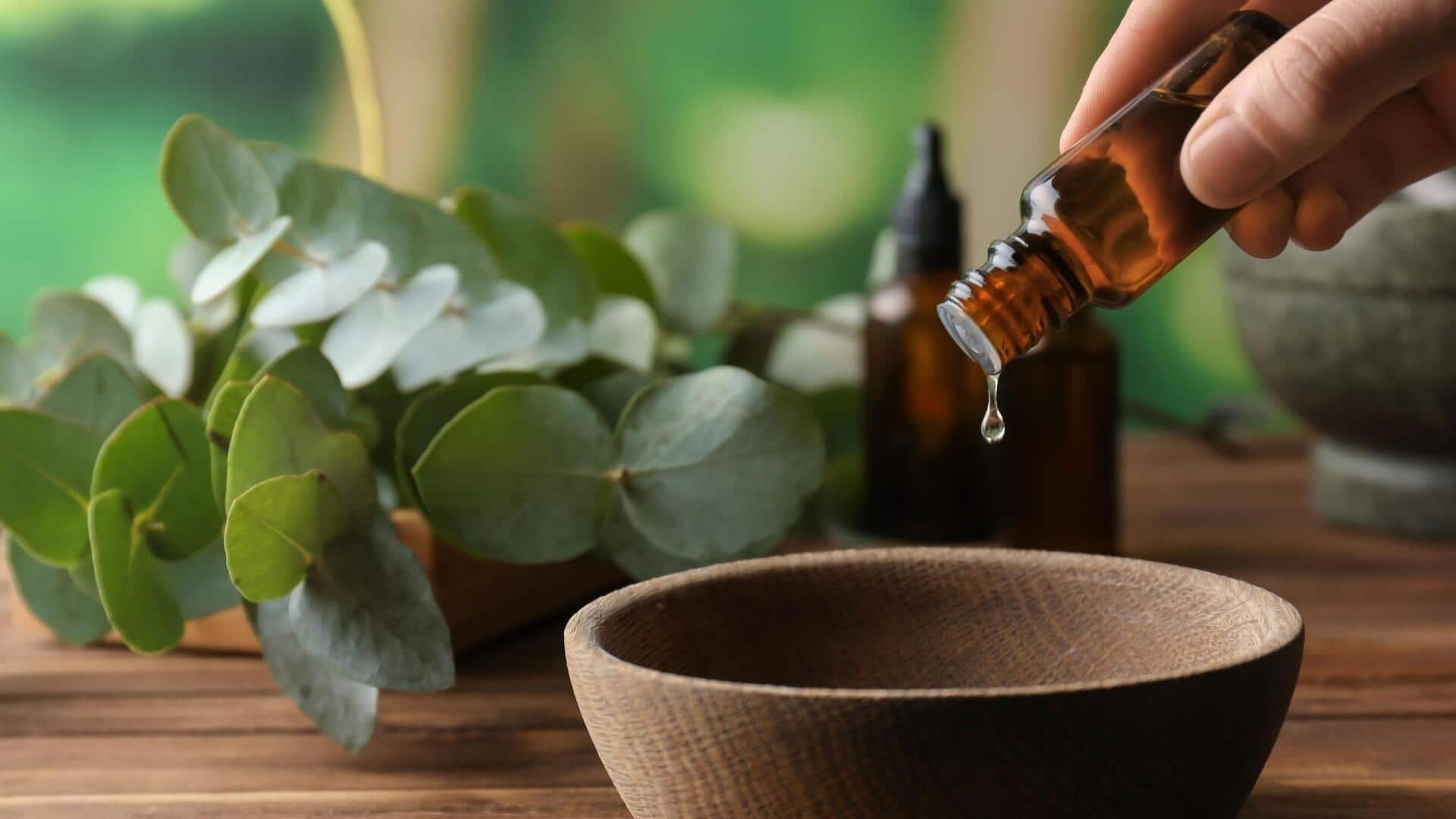 Boosting immunity with eucalyptus oil