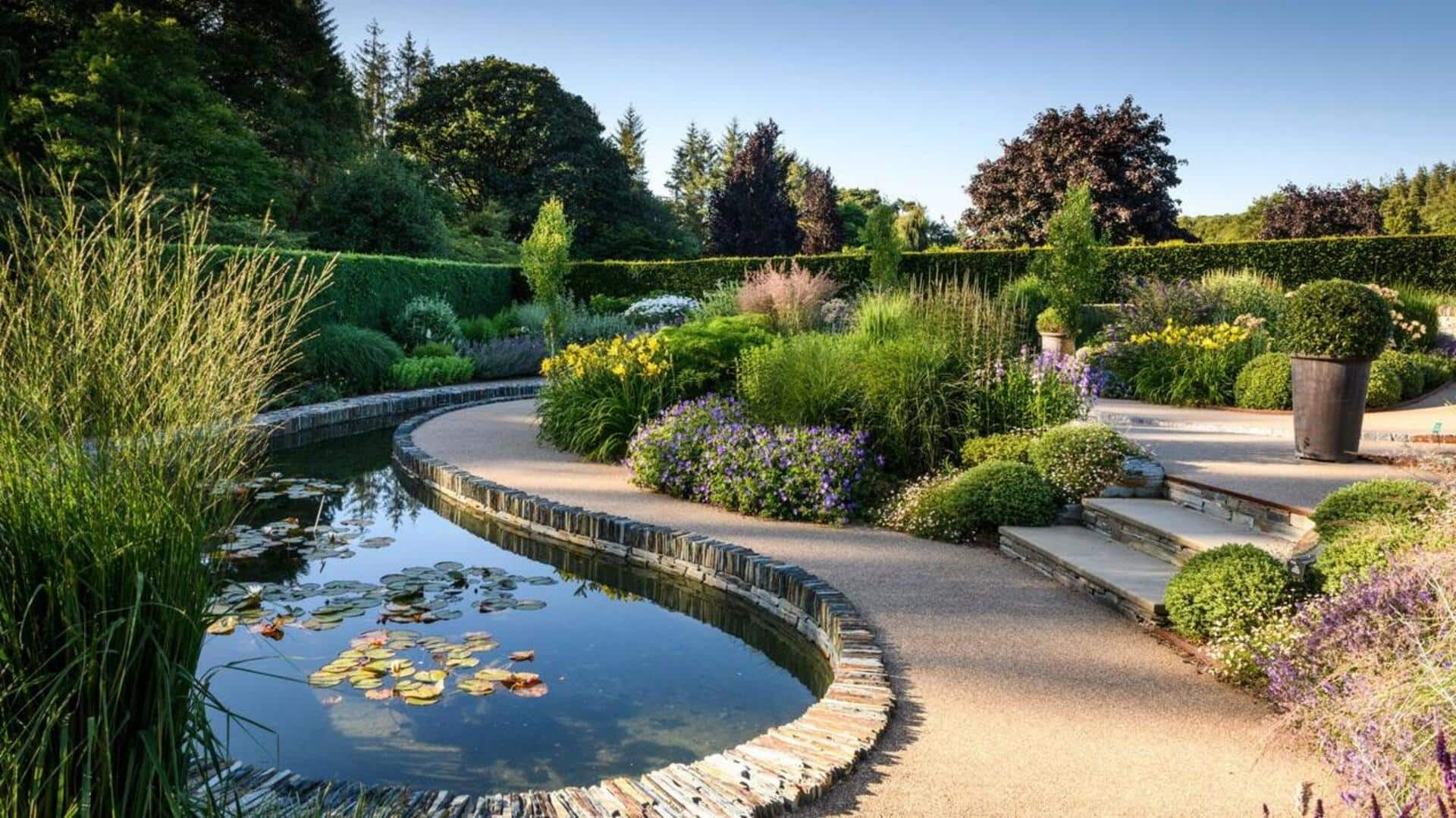 How water garden design can transform your space into oasis