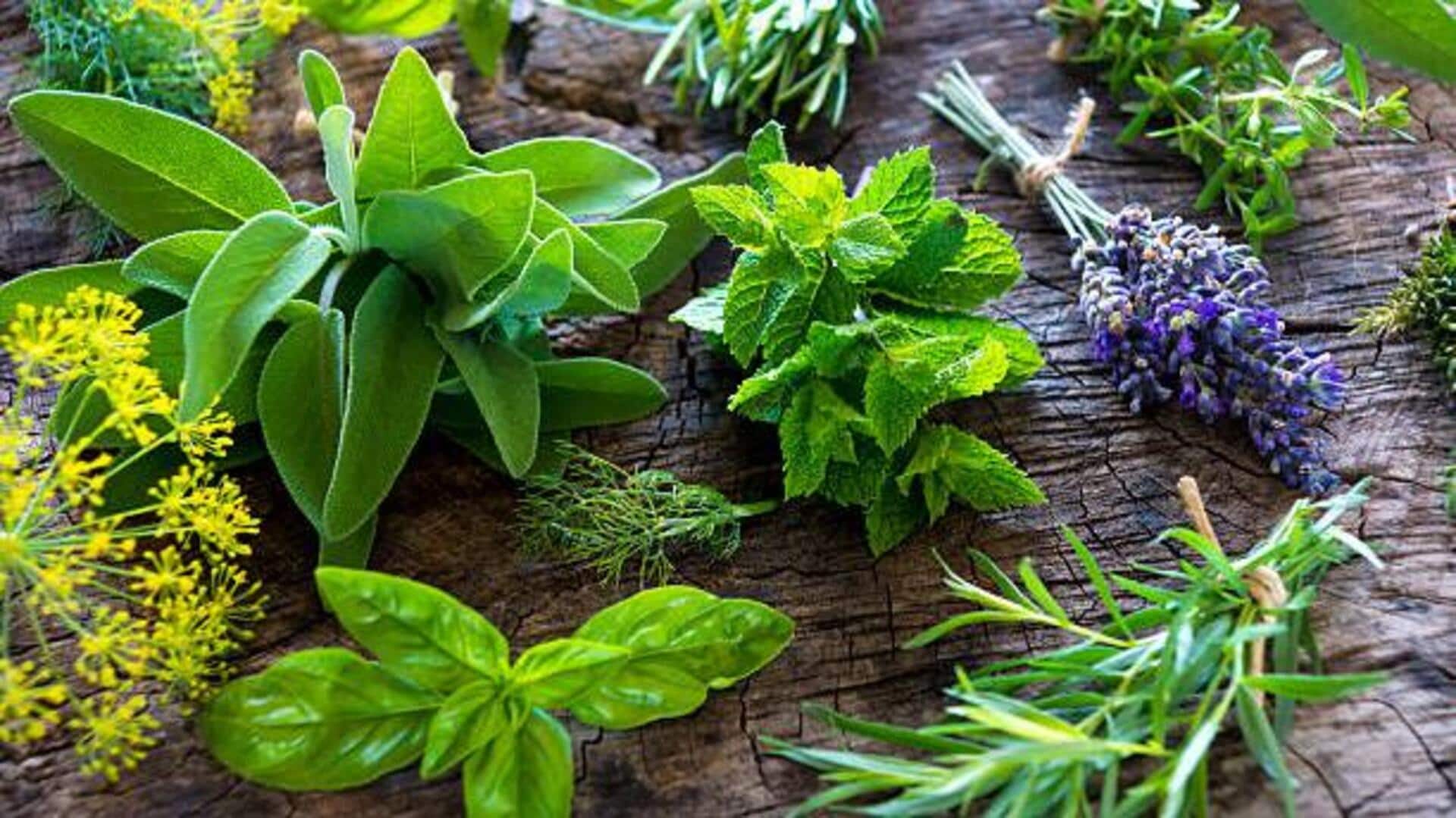 You must add these herbs to your daily routine You must add these herbs to your daily routine