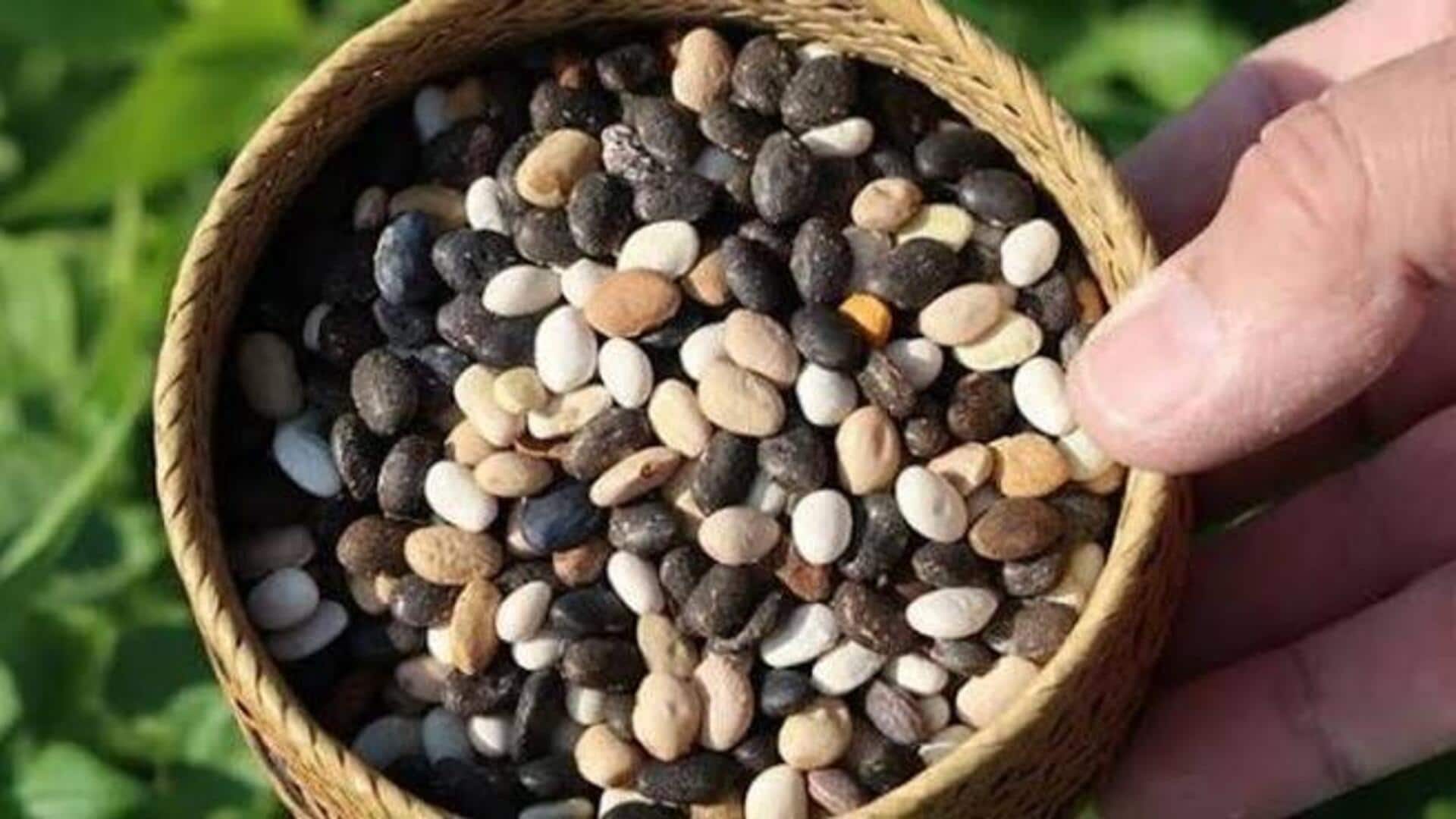 Tepary beans: A protein-rich boost for your meals 
