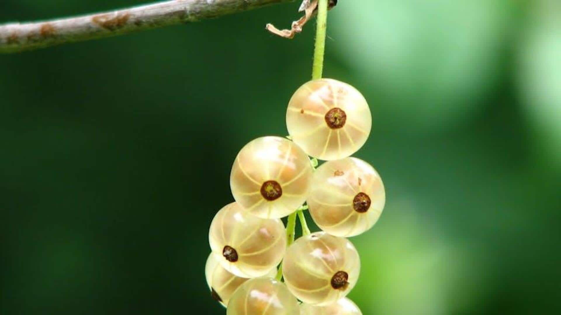 Bountiful berries: Cooking with gooseberries