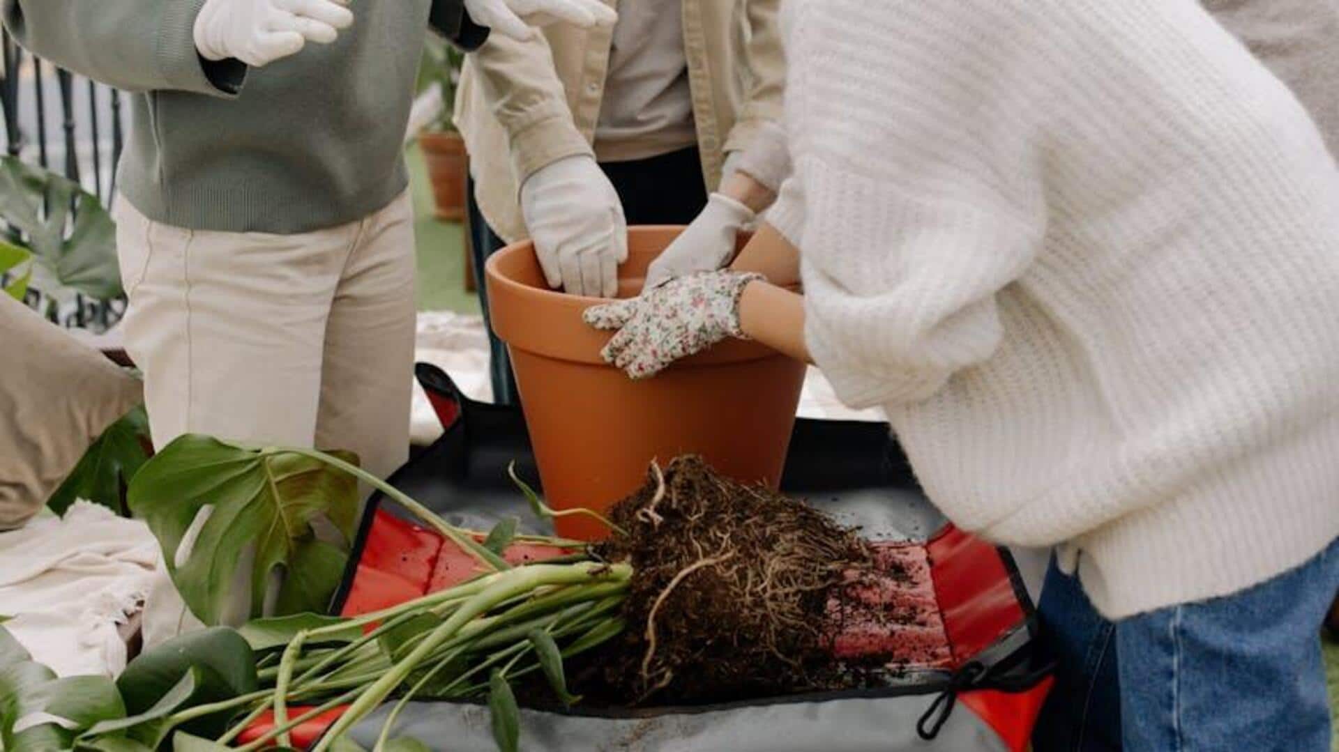 Why you must indulge in group gardening sessions