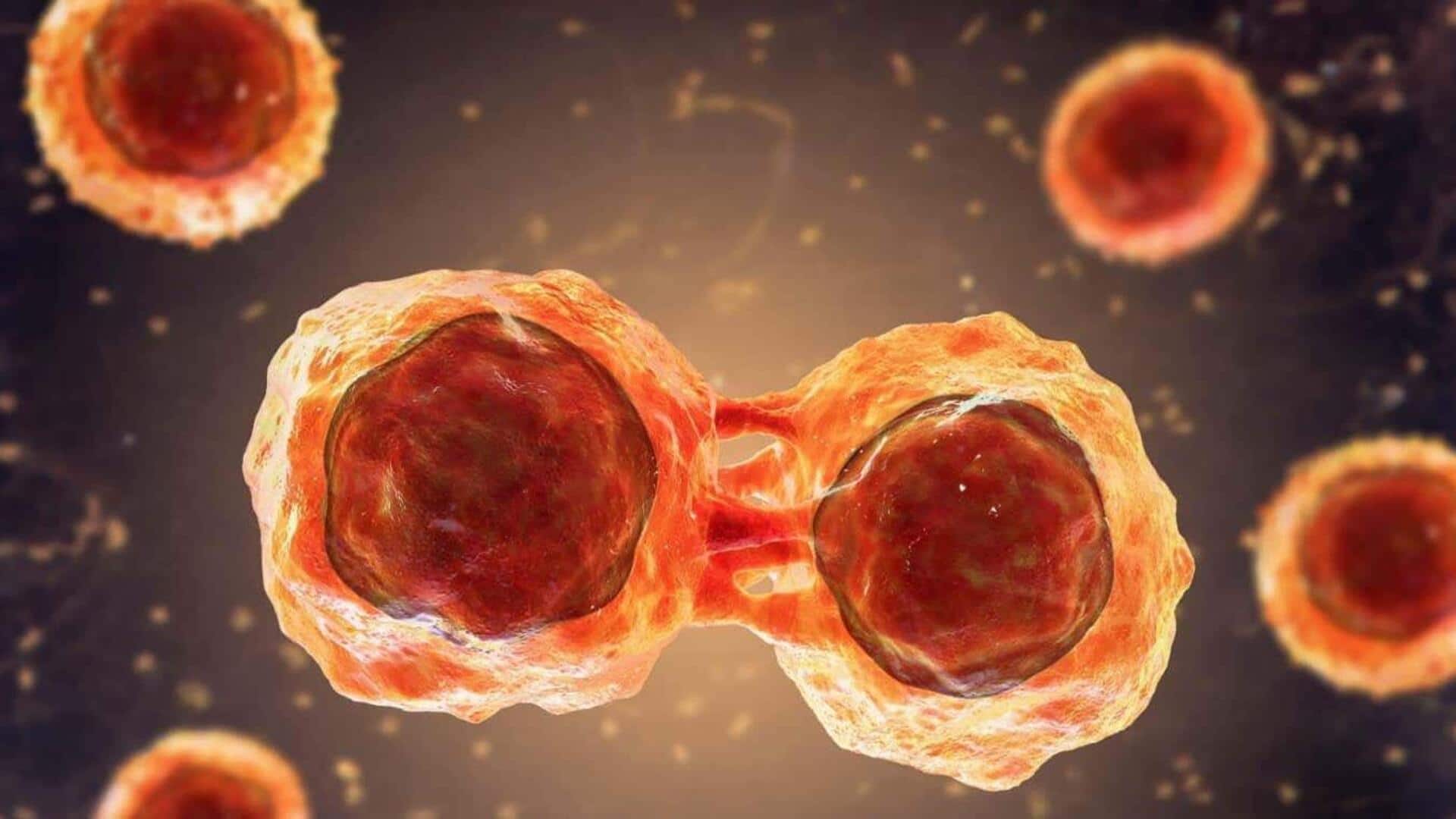 AI will cure cancer within our generation, says Arm CEO