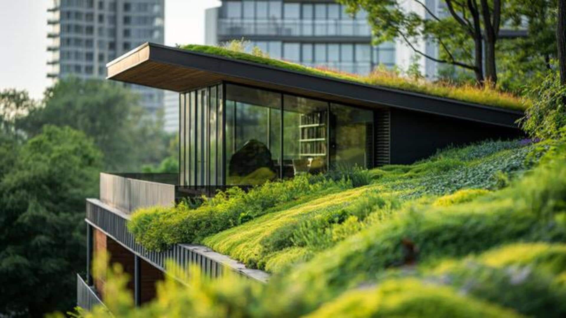 Green rooftops: Eco-friendly retreats from city chaos Green rooftops: Eco-friendly retreats from city chaos