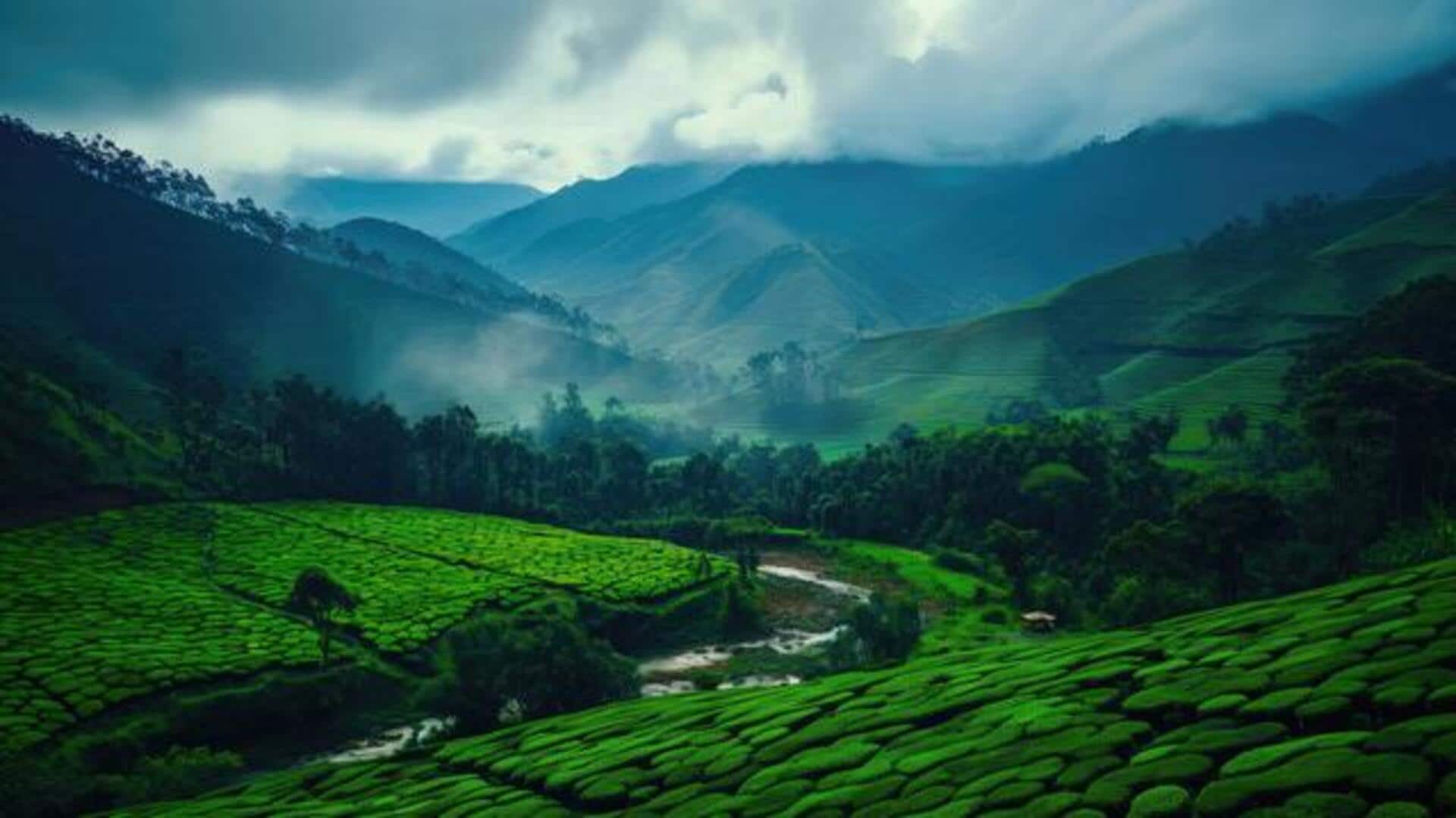 How to explore the Nilgiri Hills How to explore the Nilgiri Hills