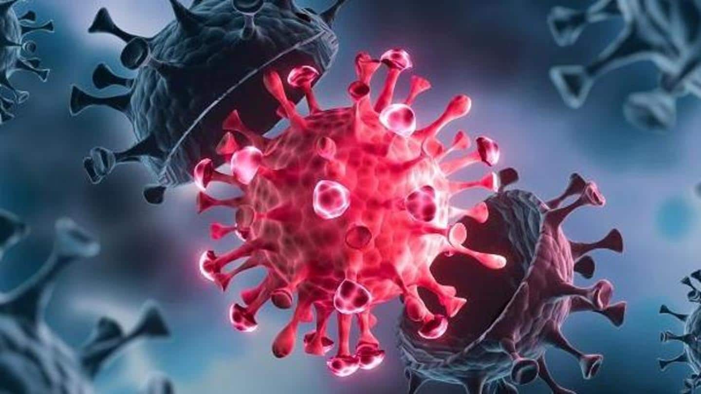 Over 14.12 lakh patients in Delhi recovered from the virus Over 14.12 lakh patients in Delhi recovered from the virus