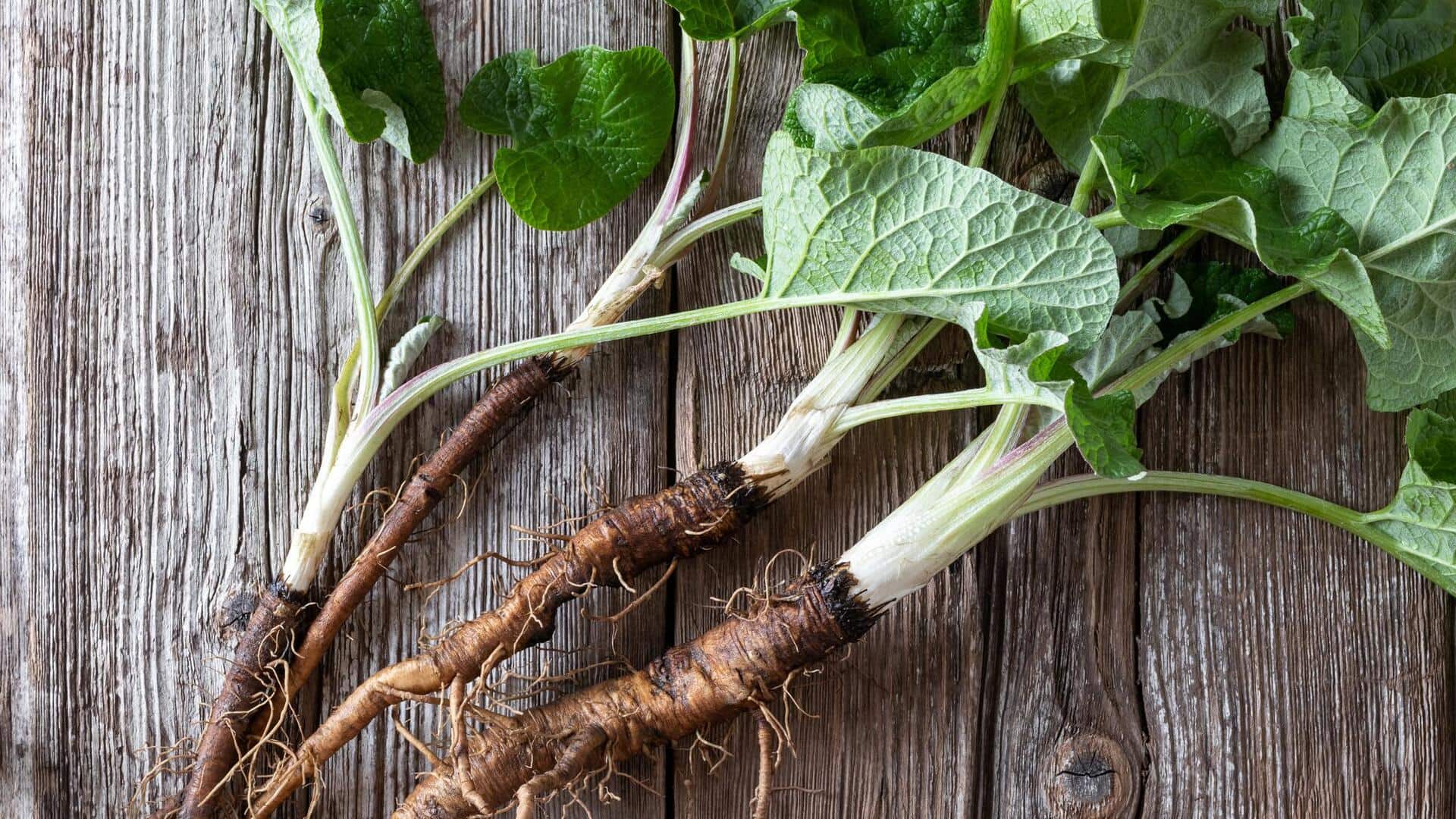 Burdock root: All about the highly nutritious vegetable 