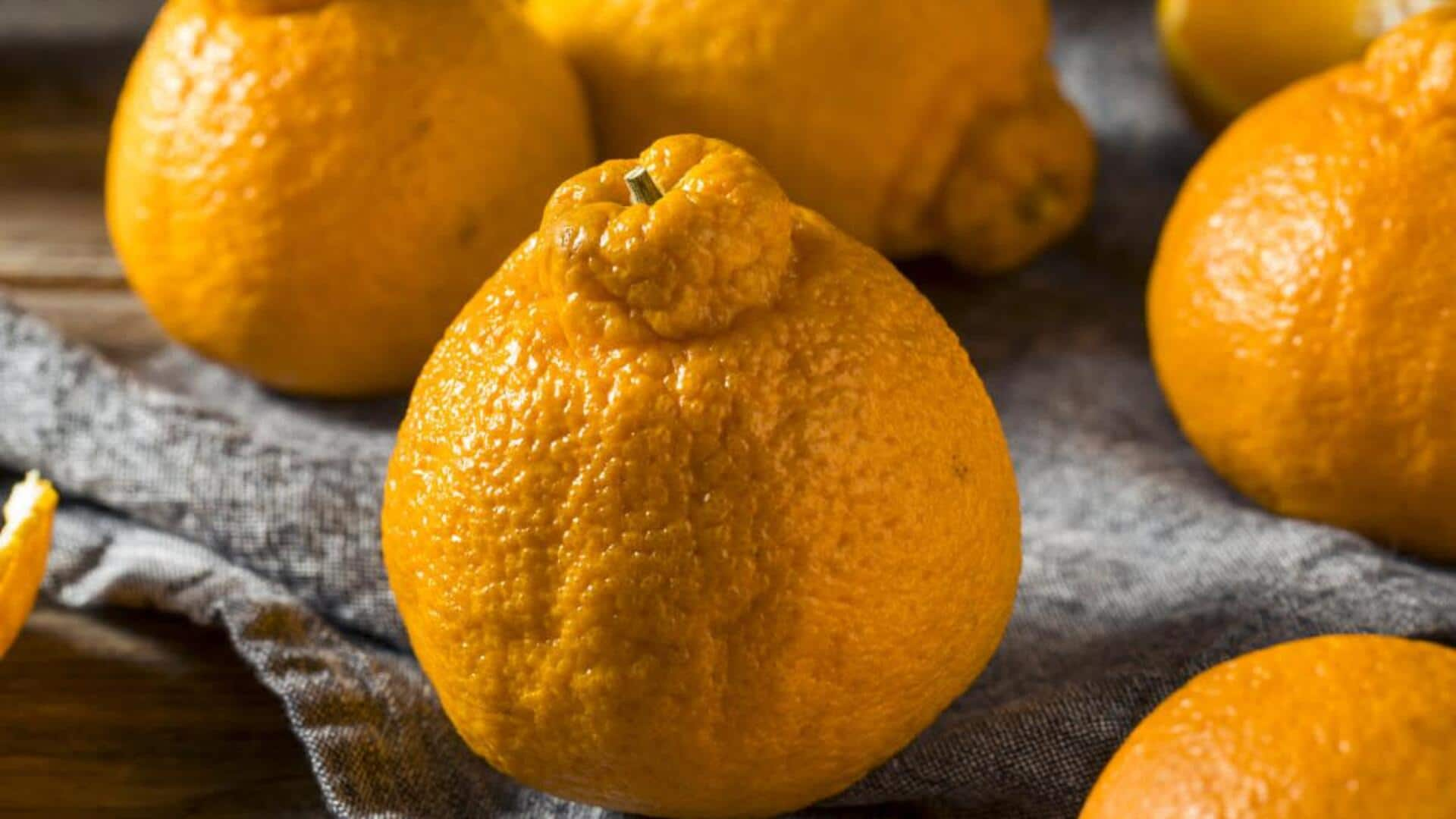 Zesty revelations: Cooking with Sumo Citrus