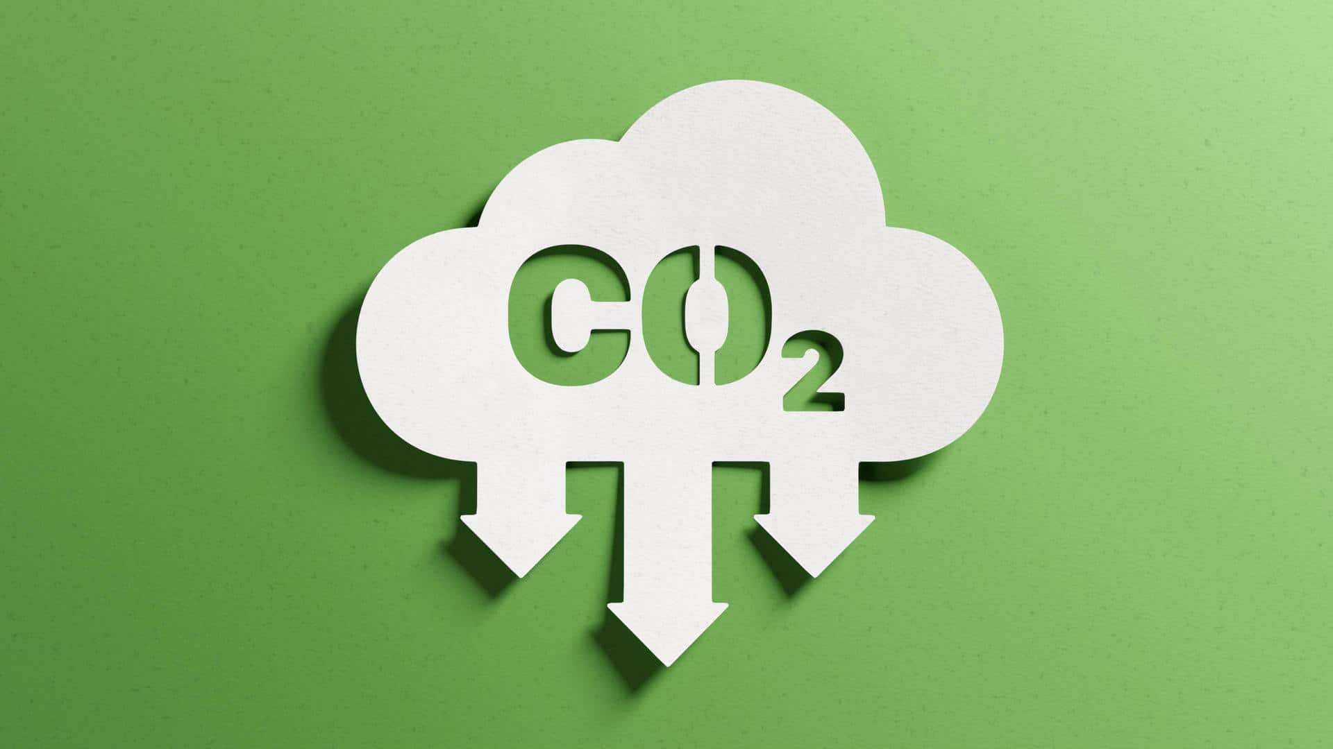 Five simple ways to reduce your carbon footprint
