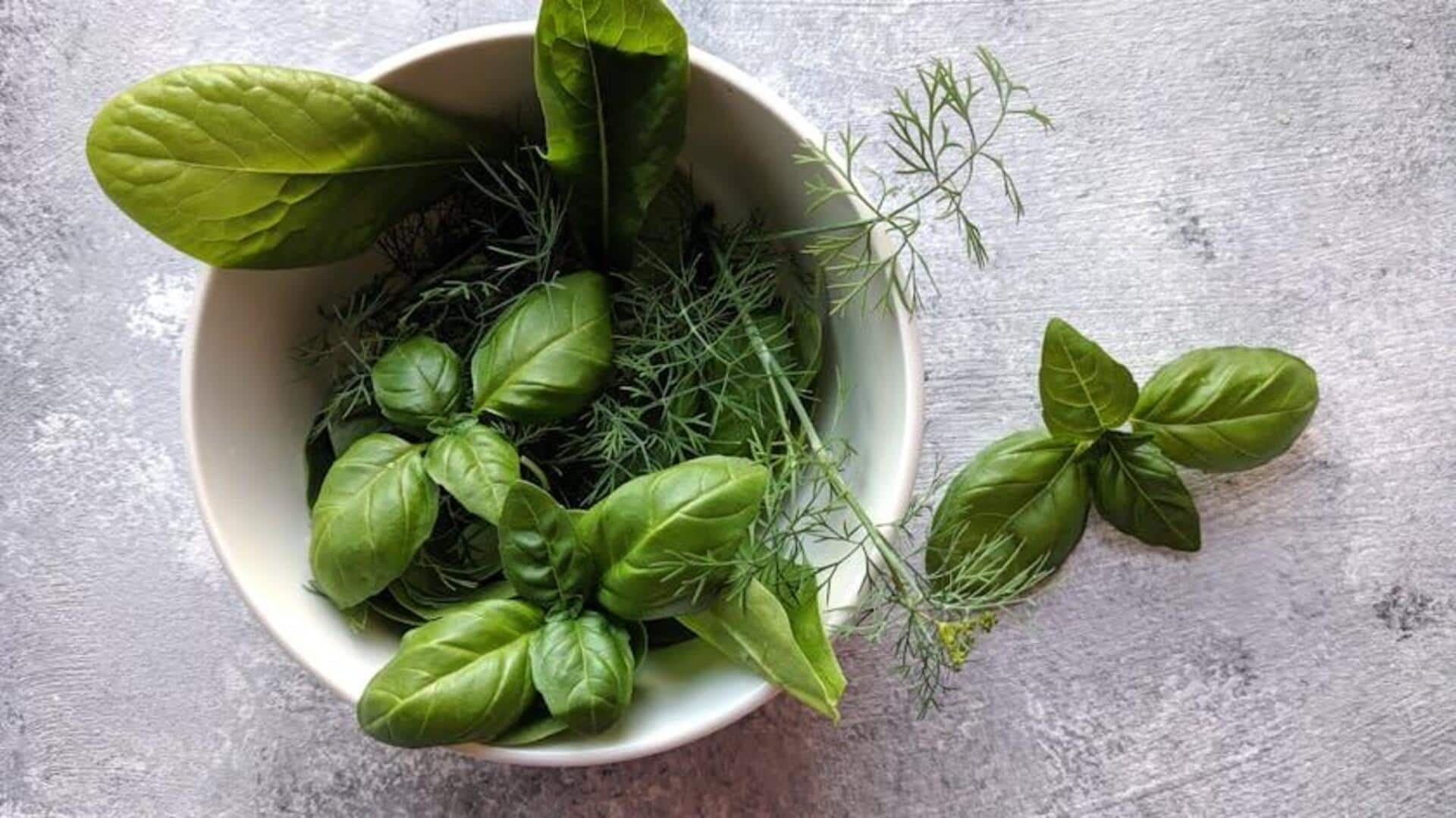 5 must-try herbs for natural wellness 