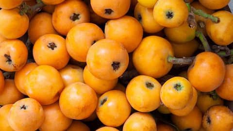 5 amazing health benefits of loquat