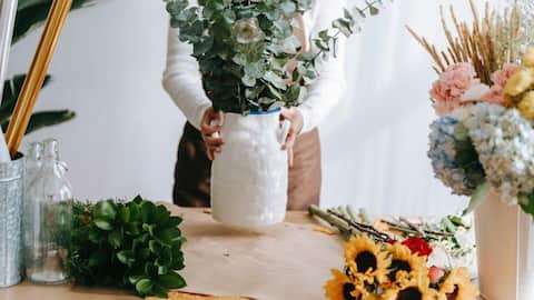 How to wrap your plants creatively