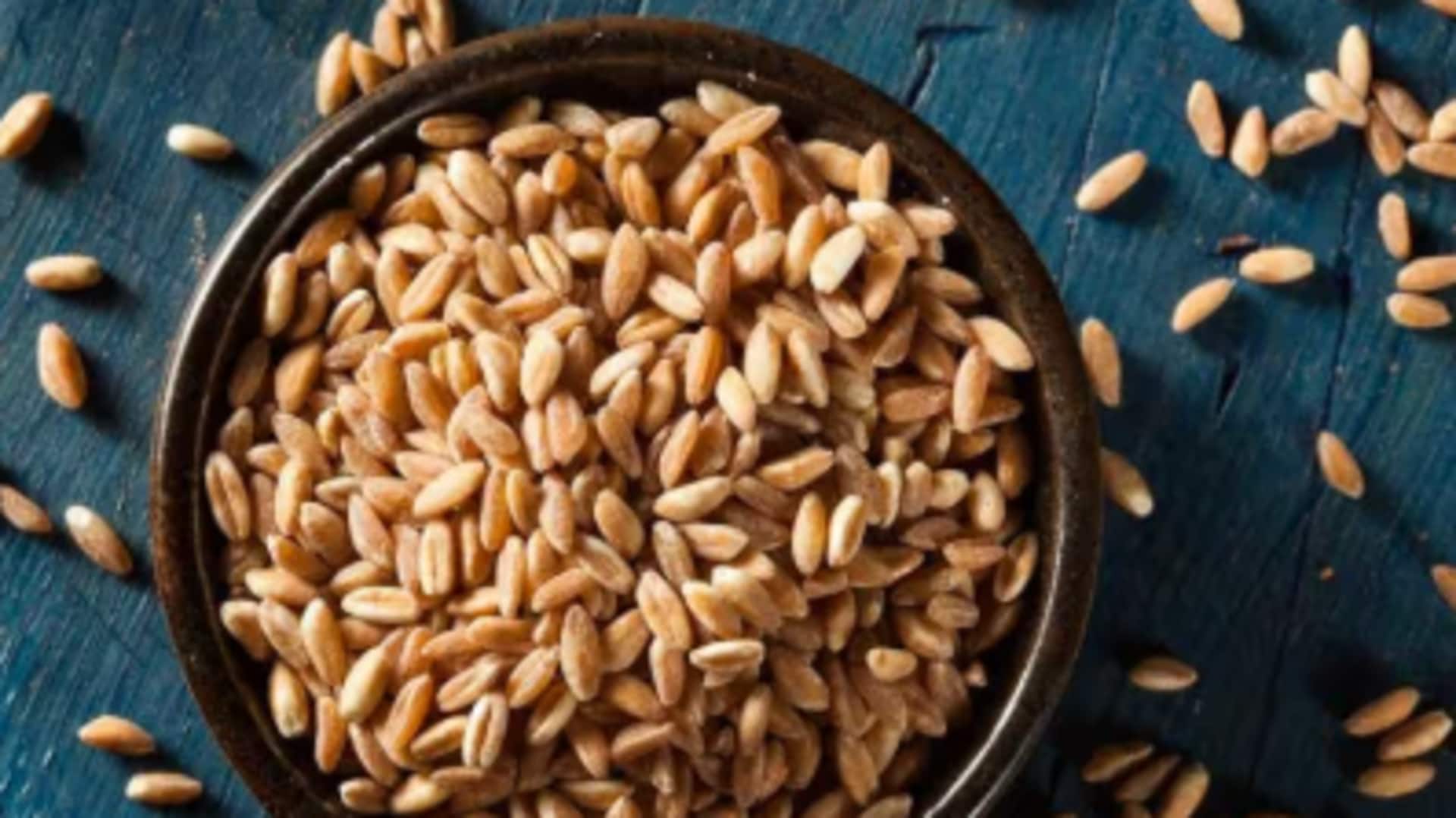 Farro v/s spelt: Which is healthier? Farro v/s spelt: Which is healthier?