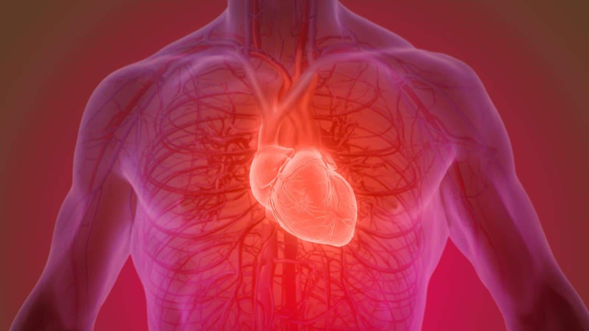 Why heart cancer is so rare compared to other types Why heart cancer is so rare compared to other types