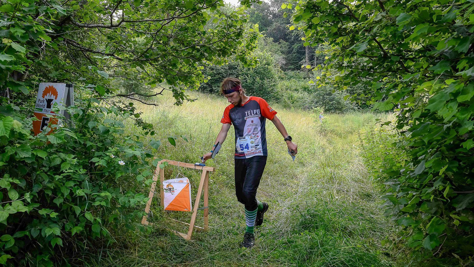 Orienteering v/s wall climbing: Which improves your decision-making skills?