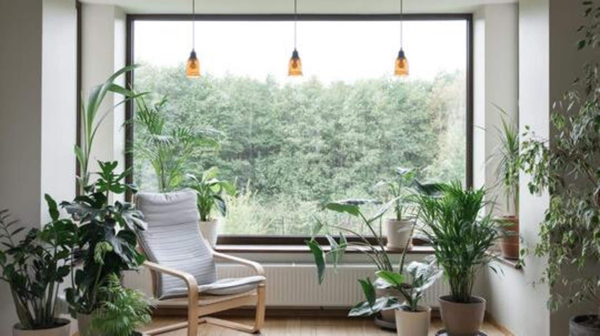 Want an eco-friendly home? Try these AI tools 