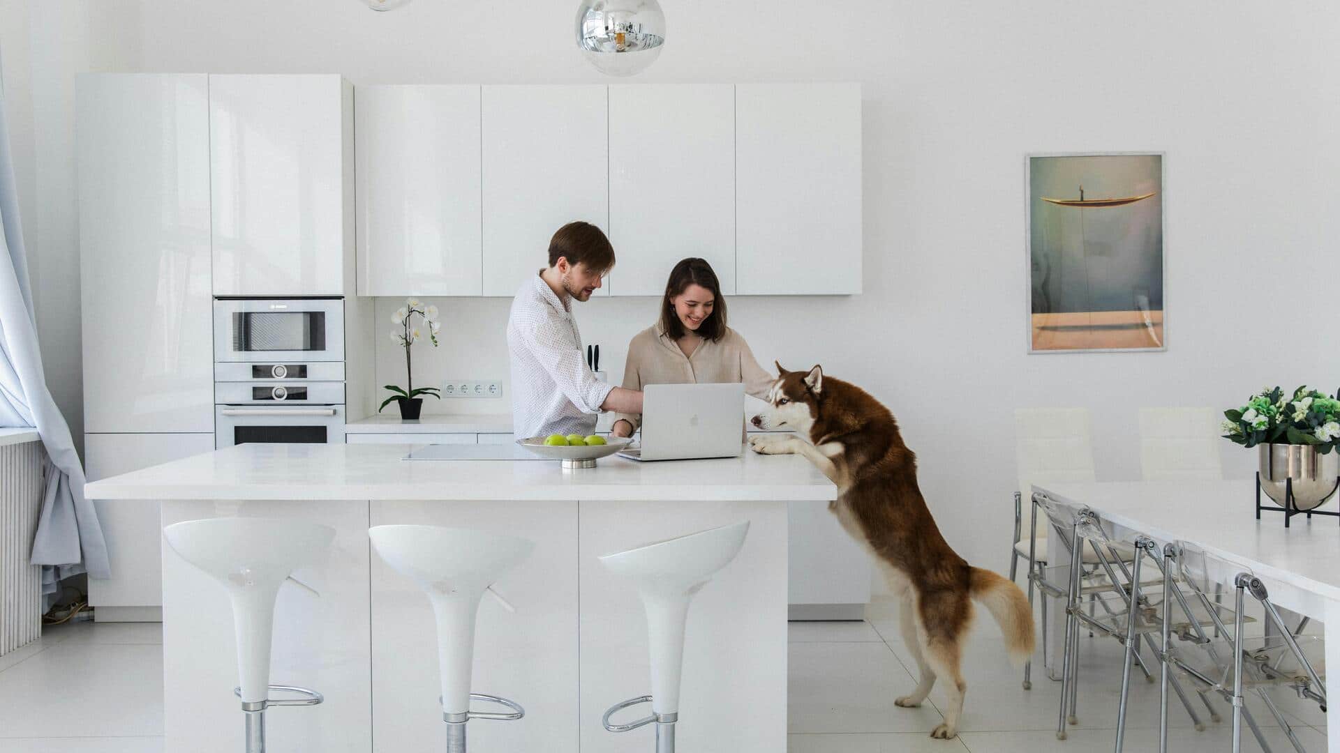 Make your kitchen dog-safe with these simple fixes