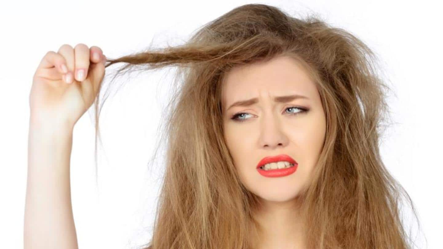 Dry hair? These natural conditioners will control that dreaded frizz