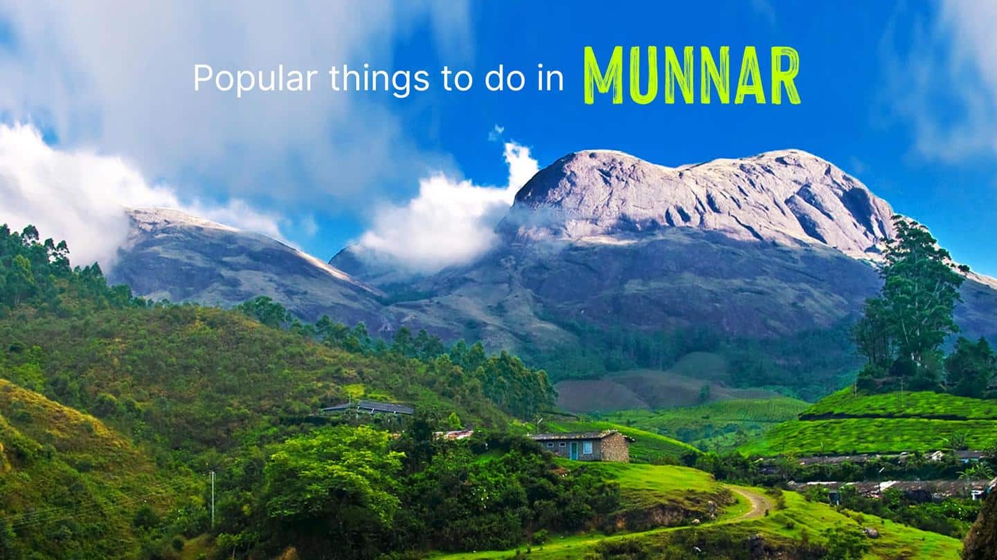 5 things to do in Munnar