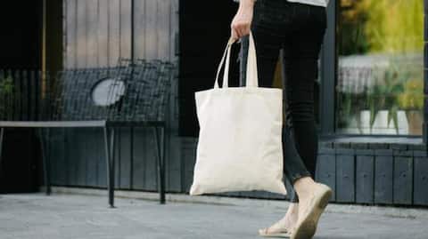 Are reusable grocery bags unhygienic?