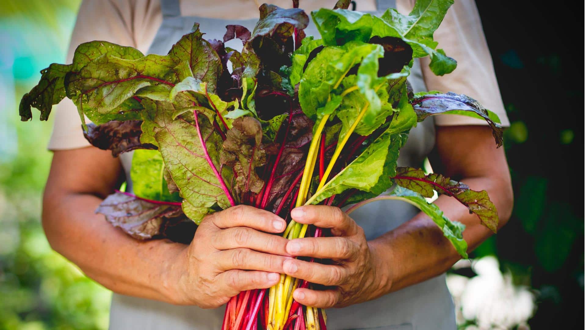 Reasons why Swiss chard deserves a spot on your plate