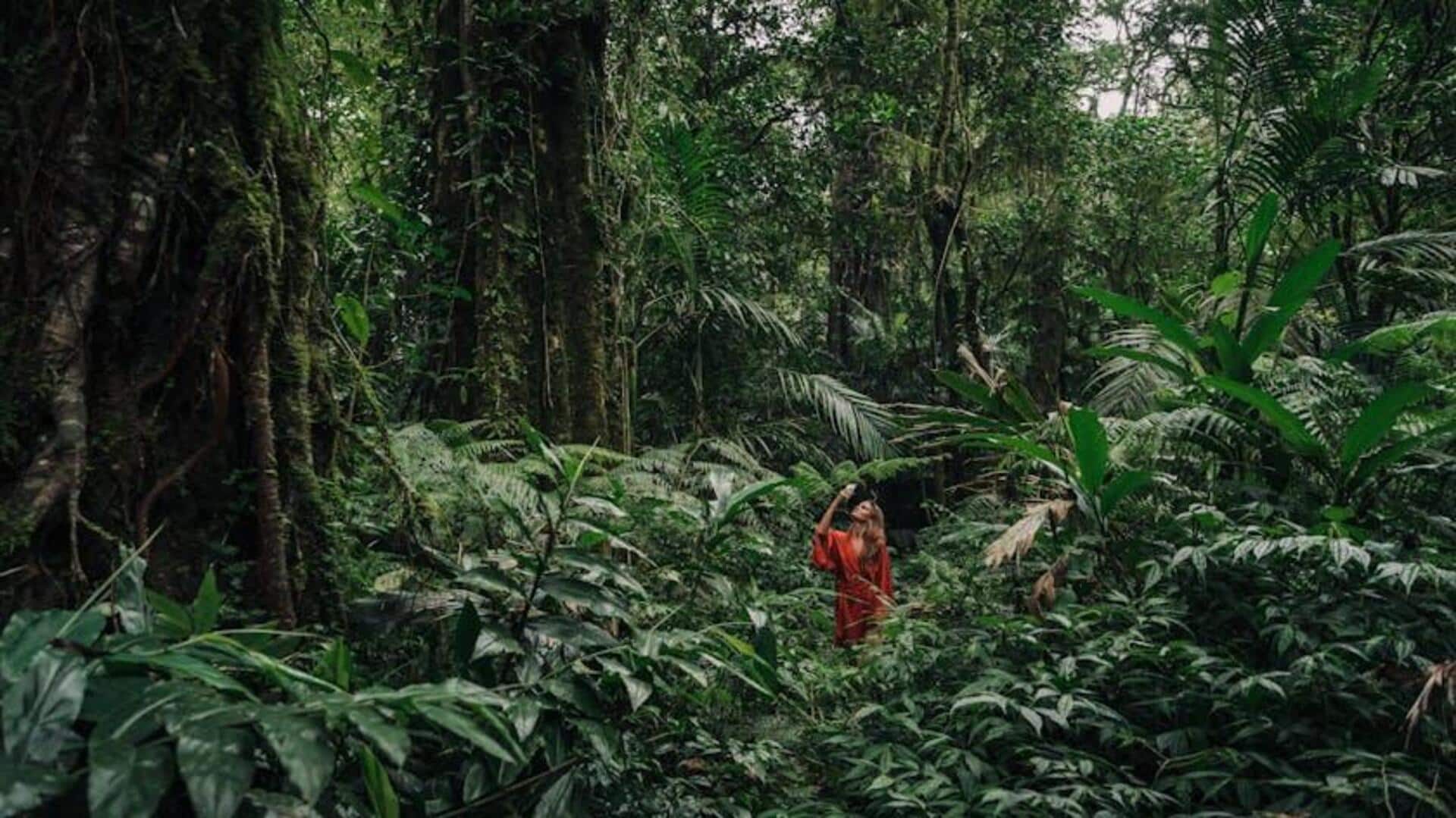 Ecuador's best-kept secrets: Must-see rainforests Ecuador's best-kept secrets: Must-see rainforests