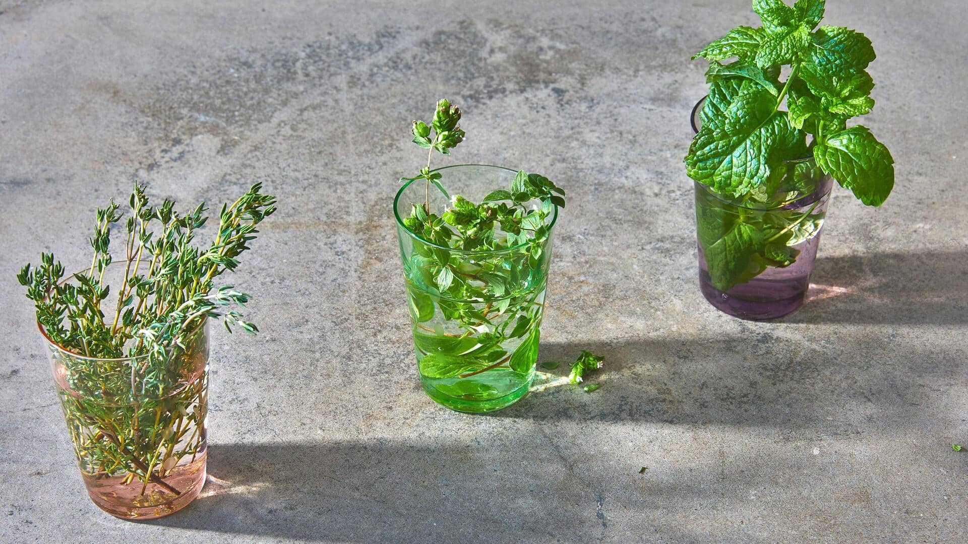 Grow mint indoors with these simple tips