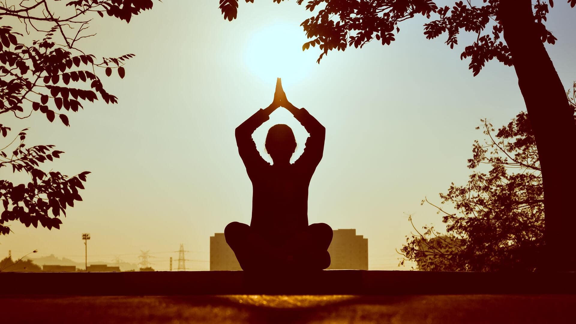 Yoga or Pilates: Which is better for your core?