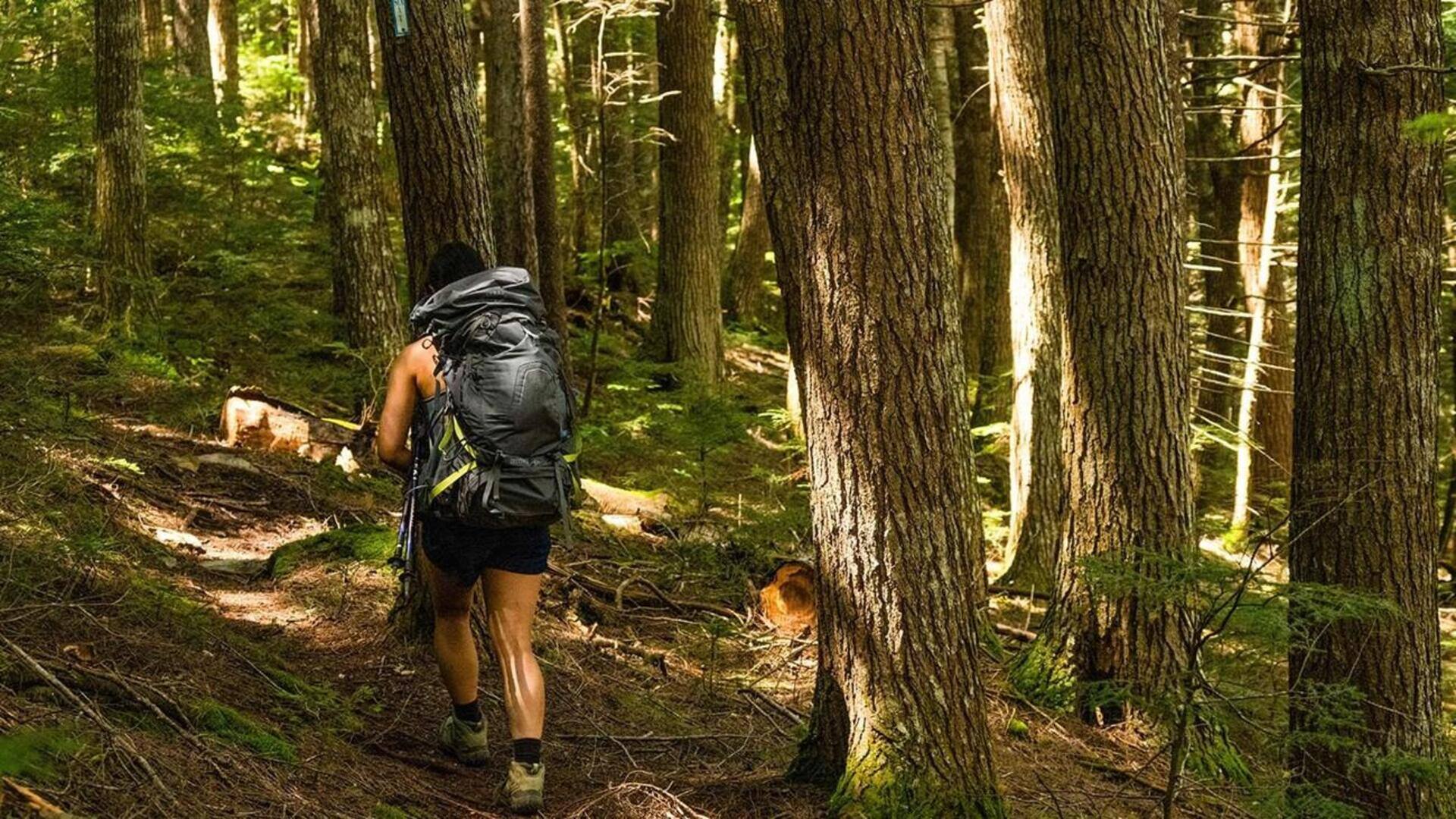 Why you should hike uneven forest trails more