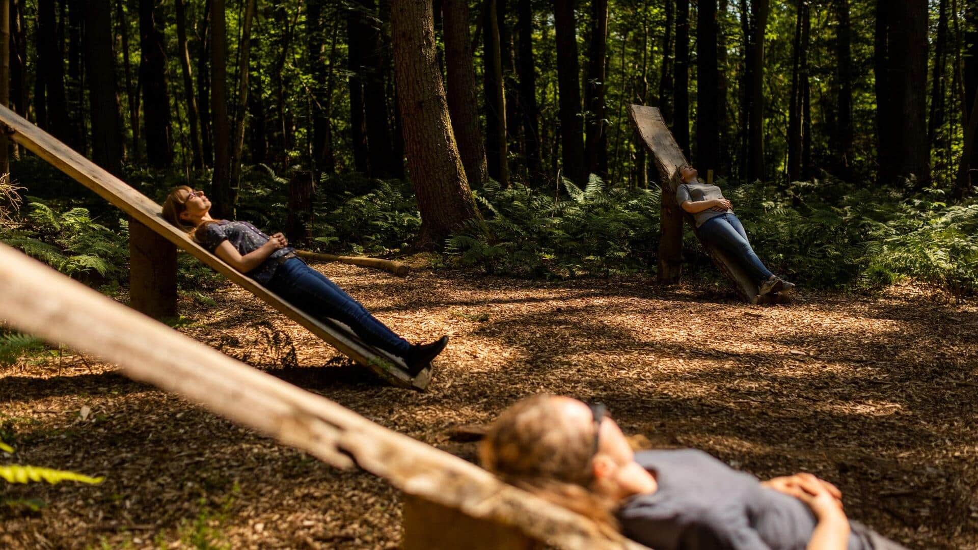 Forest-bathing 101: Concept, benefits, and practice