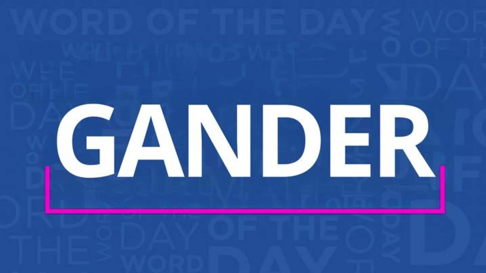 Word of the Day: Gander