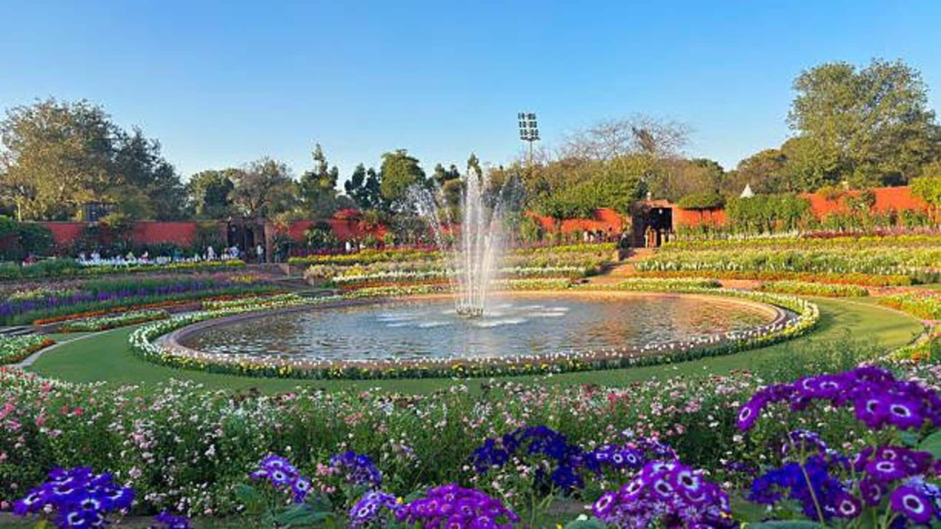 Escape the crowds: 5 peaceful gardens in India