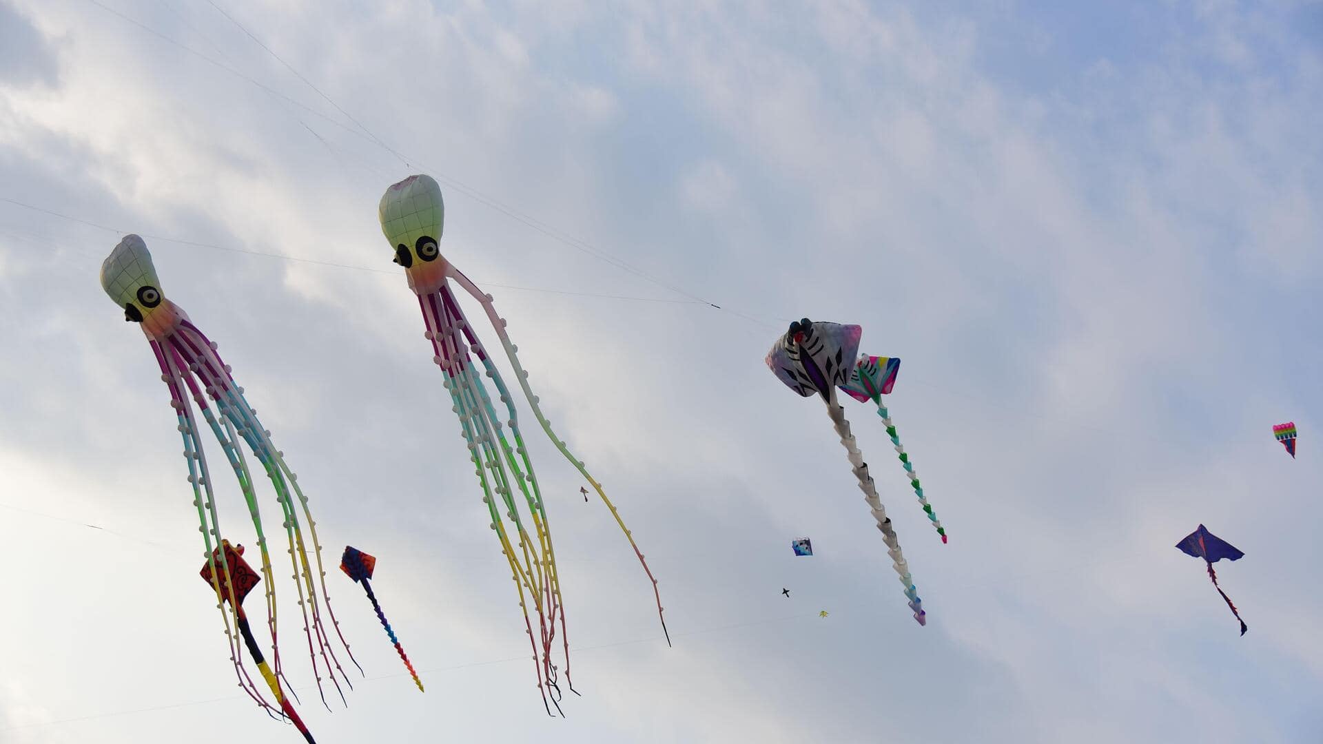 The magic of China's kite flying festivals