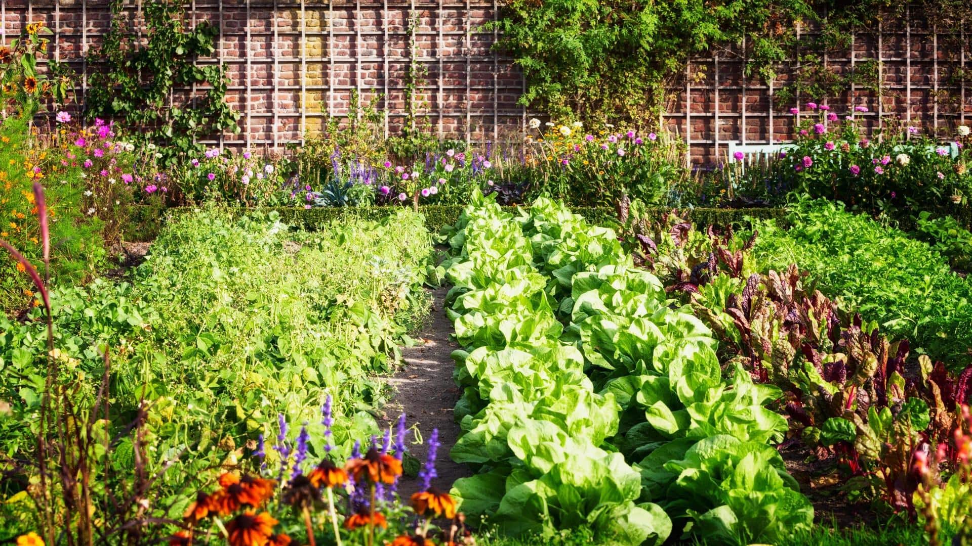 Tired of unkempt gardens? Simple tips to keep them clean