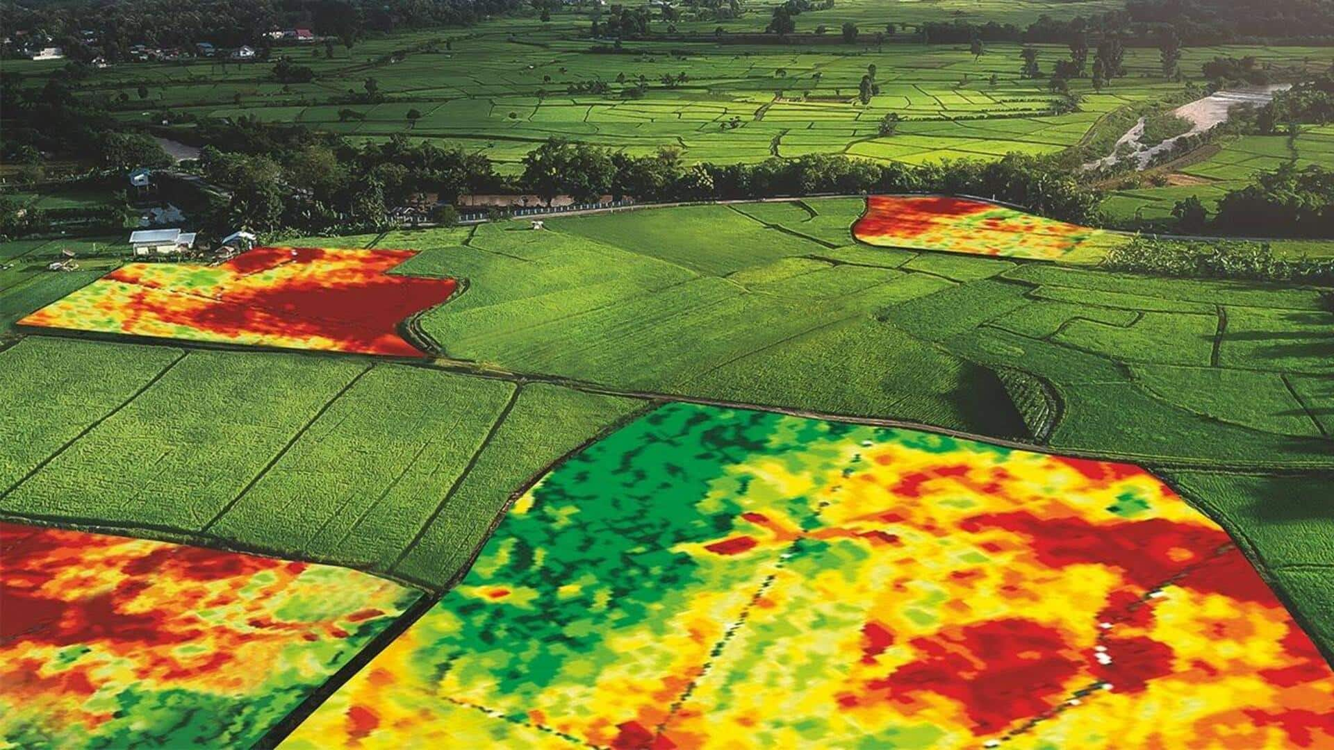 Government launches satellite system to deliver crop-related insights to farmers