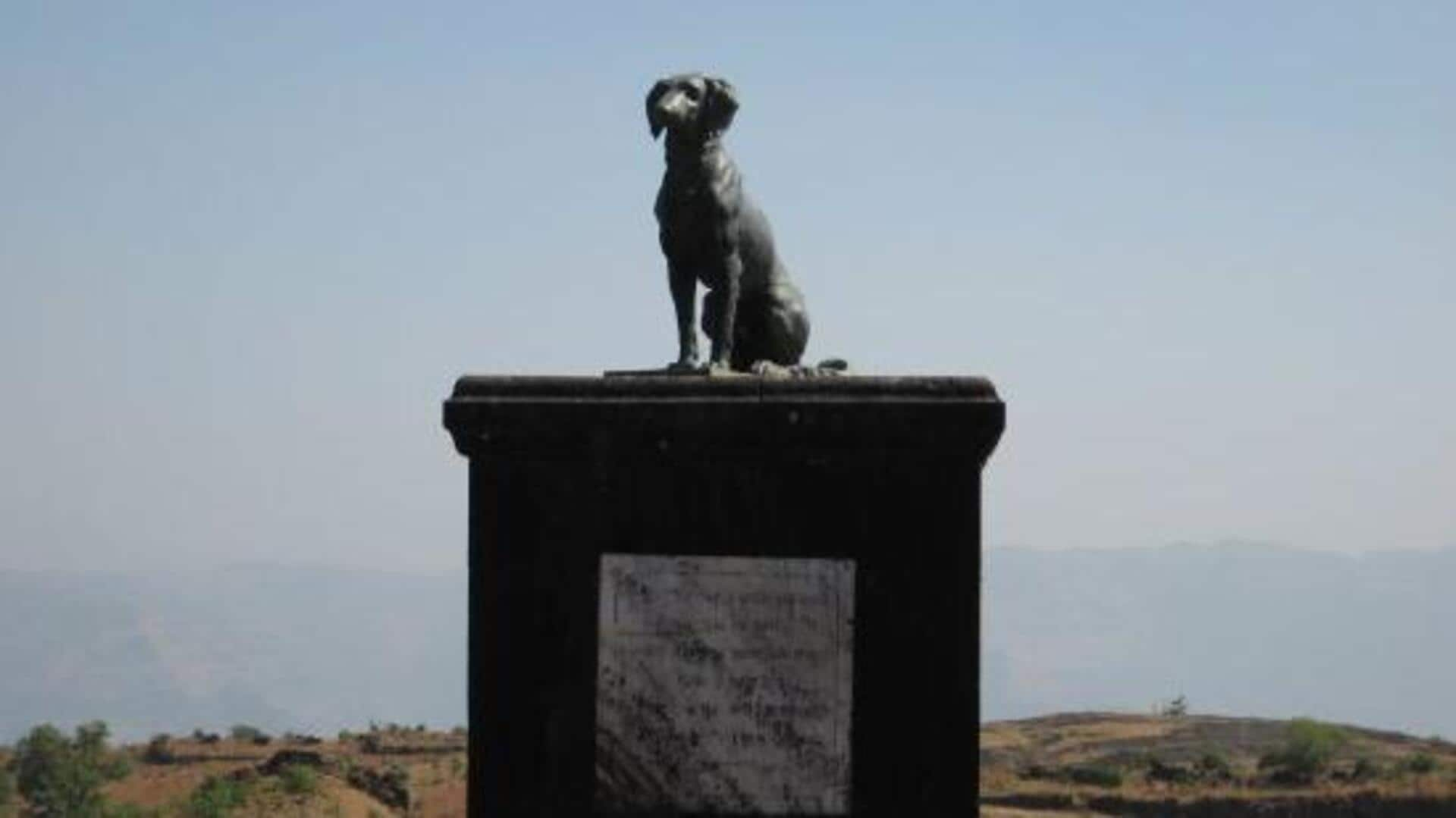 Why some are unhappy over dog statue near Shivaji's memorial  