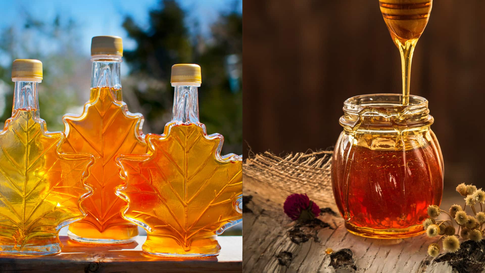 Honey v/s maple syrup: Which controls blood sugar levels better?