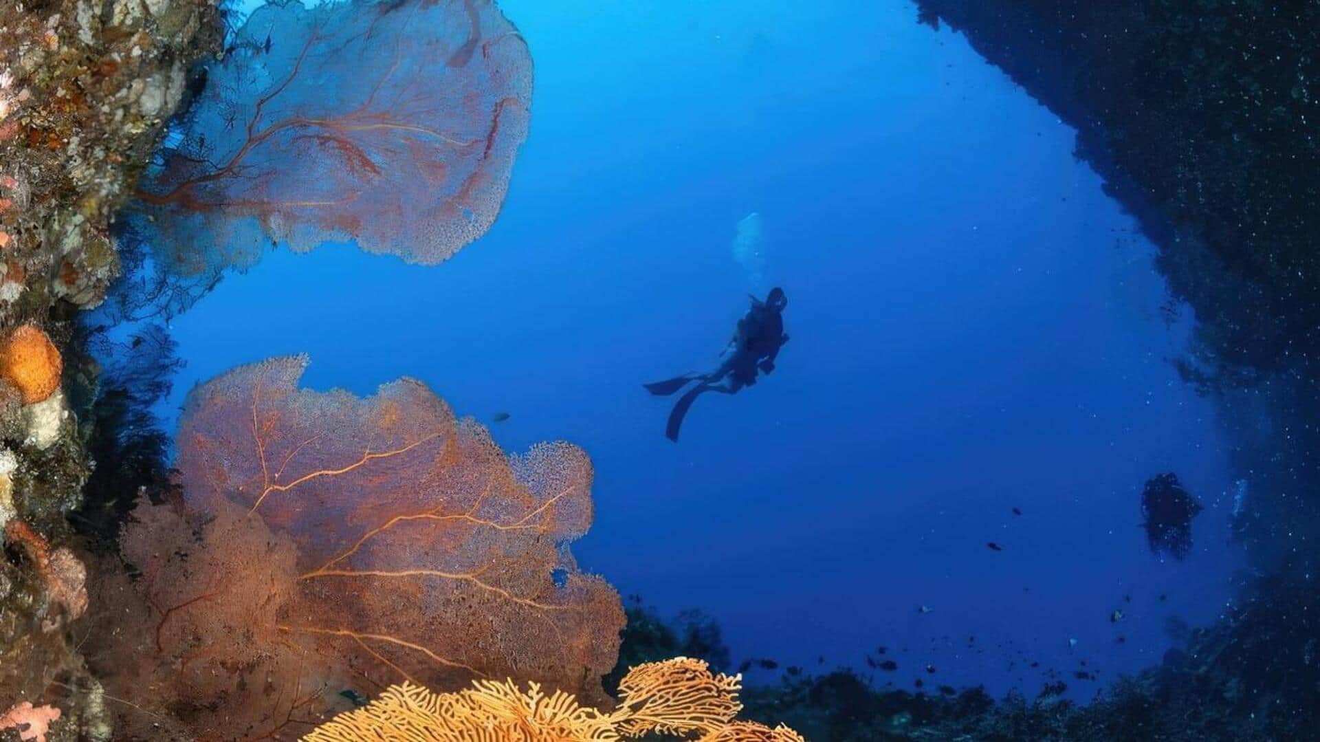Palau's, a Pacific Island nation, underwater caves are mesmerizing