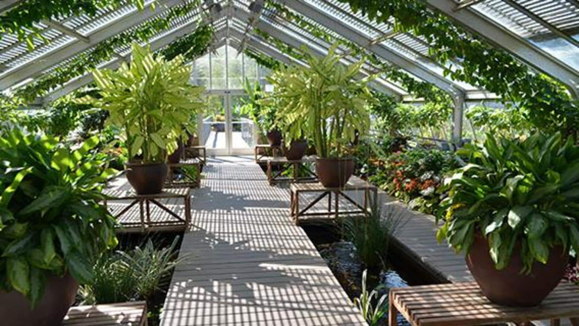 Etiquette for exploring public greenhouses