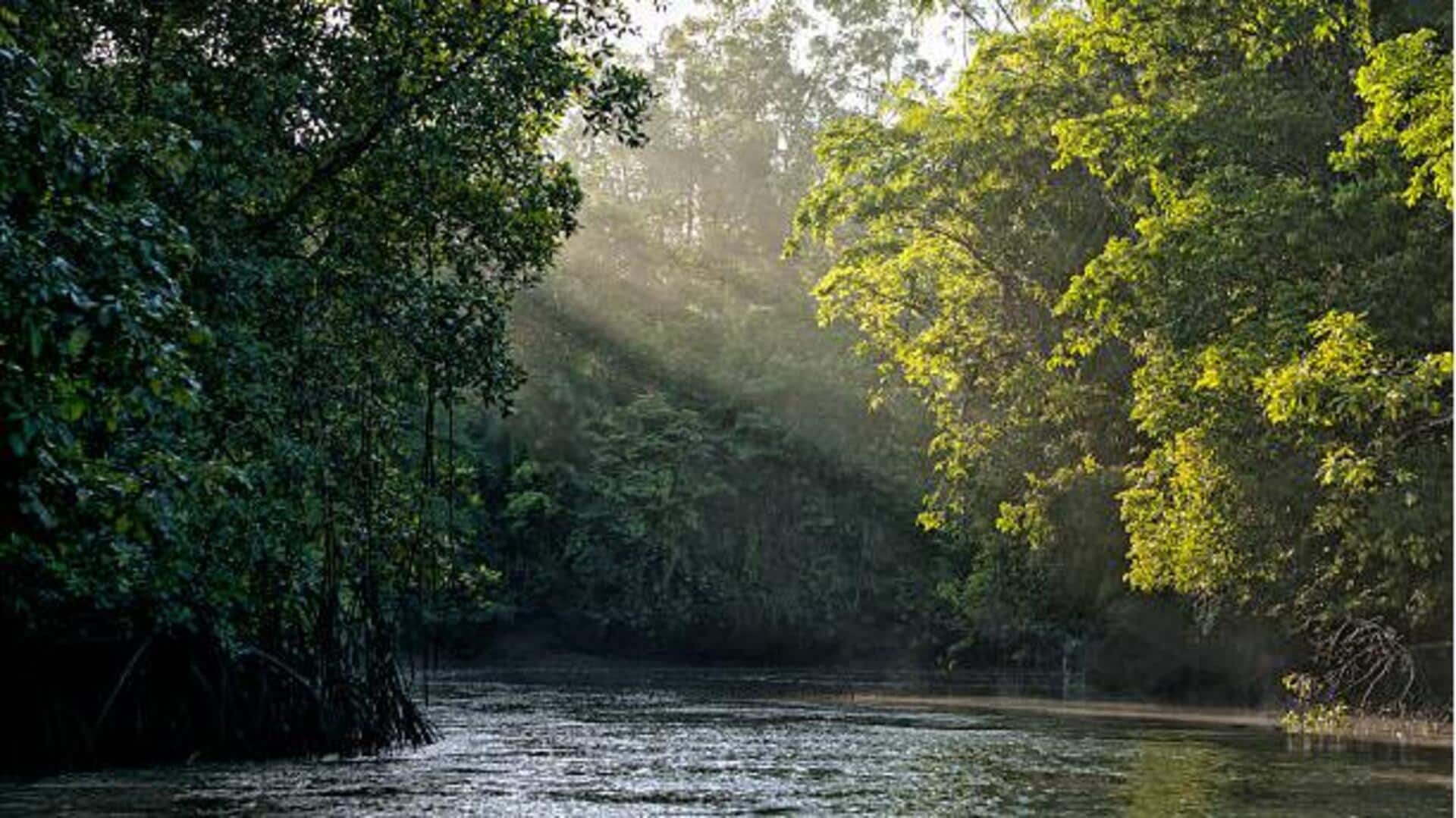 Exploring the Amazon River: What to know Exploring the Amazon River: What to know