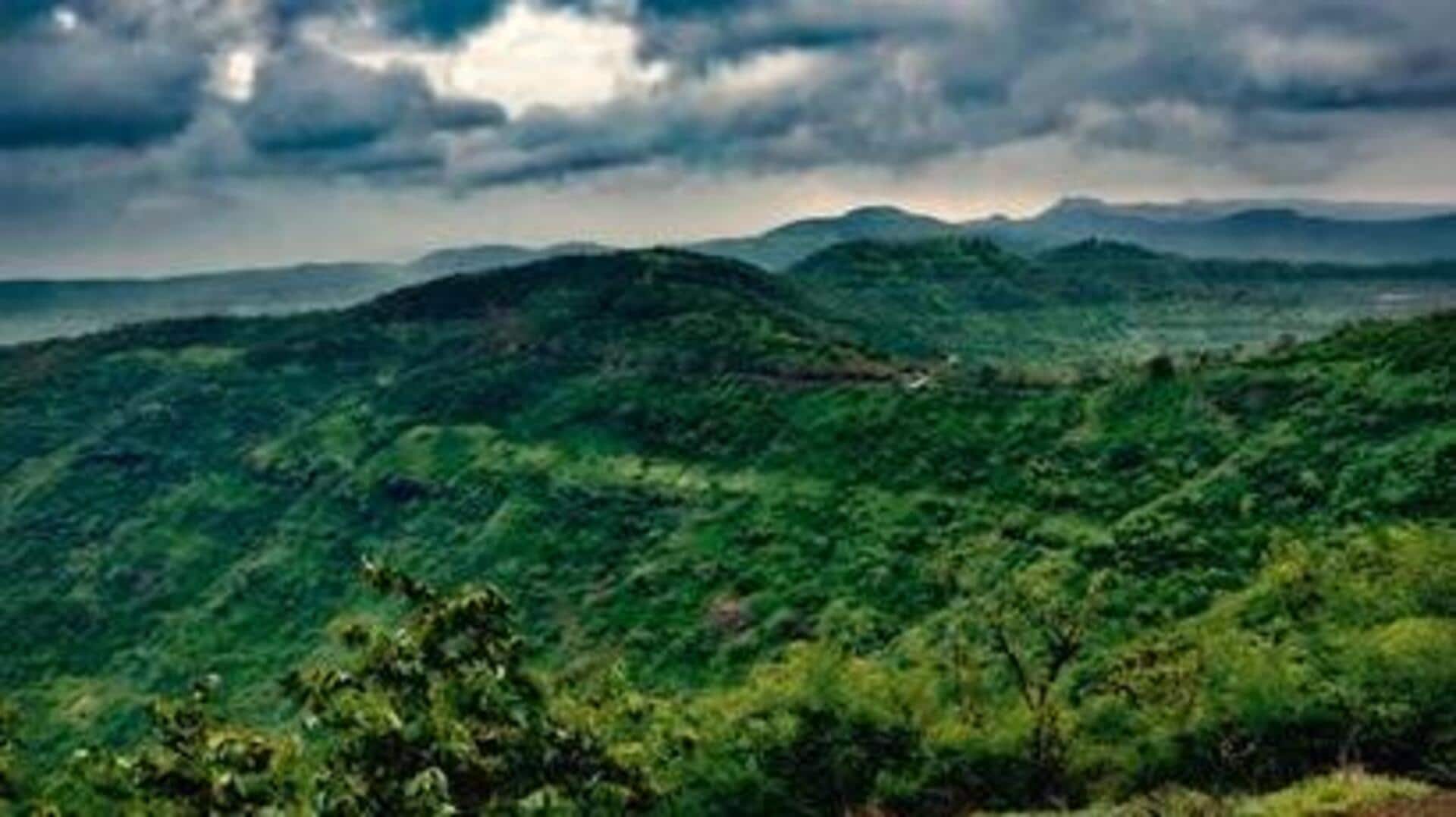 Western Ghats could become India's major carbon sink by century-end 