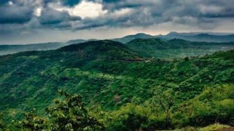 Western Ghats could become India's major carbon sink by century-end 
