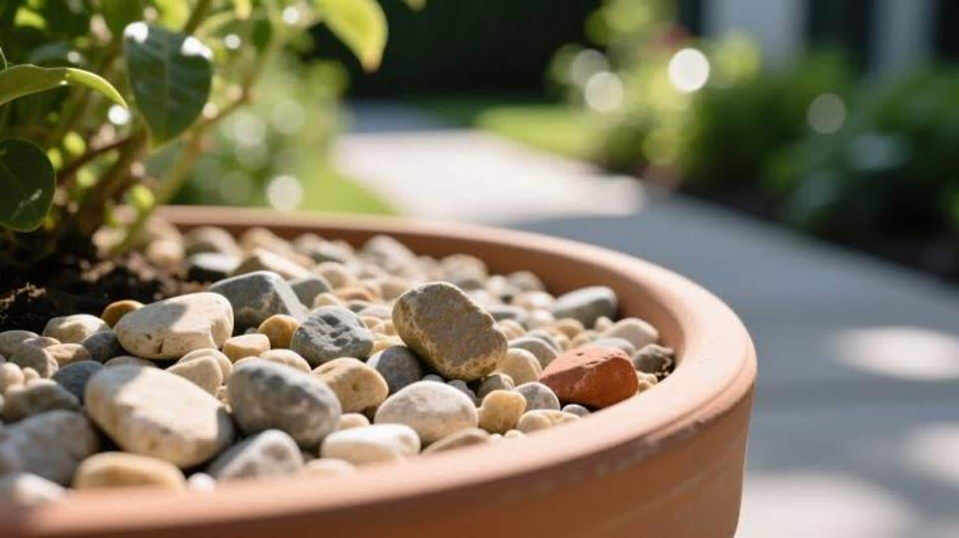 Smart ways to improve plant drainage