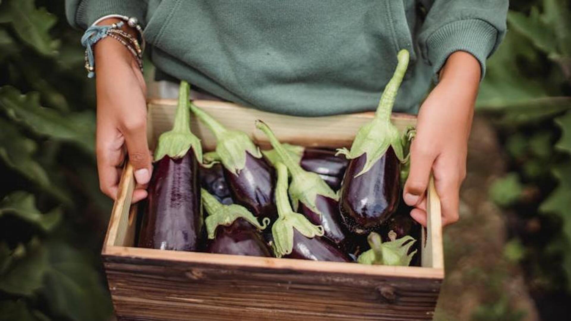 These eggplant curries are flavor and nutrition rolled into one